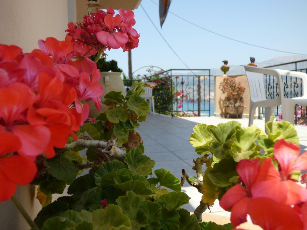 Anna Apartments Argostoli  Bagian luar foto